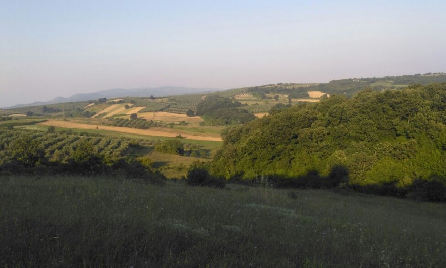 Mudanya Eşkel Satılık Tarla