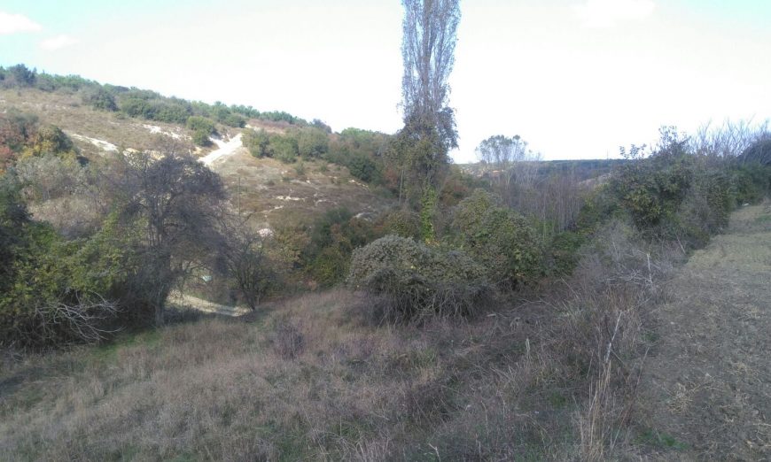 Mudanya Eşkel Esence Satılık Bahçe