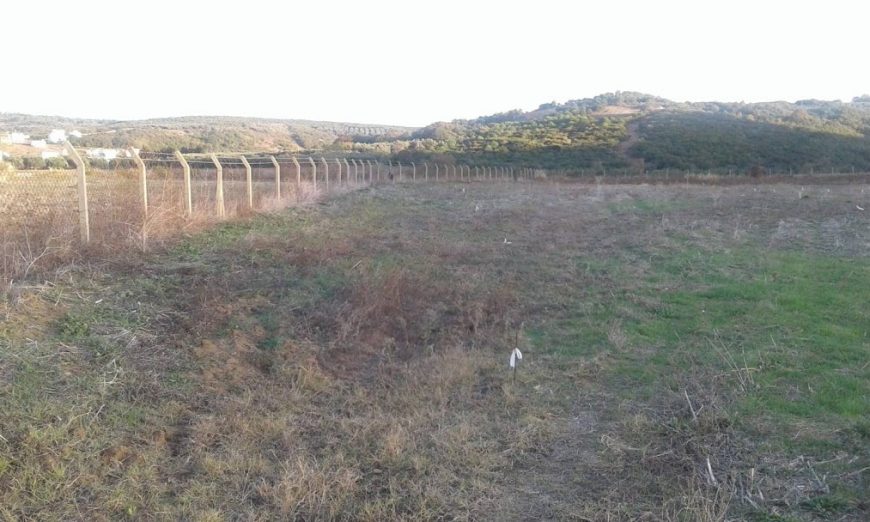 Bursa Mudanya Eşkel Satılık Tarla