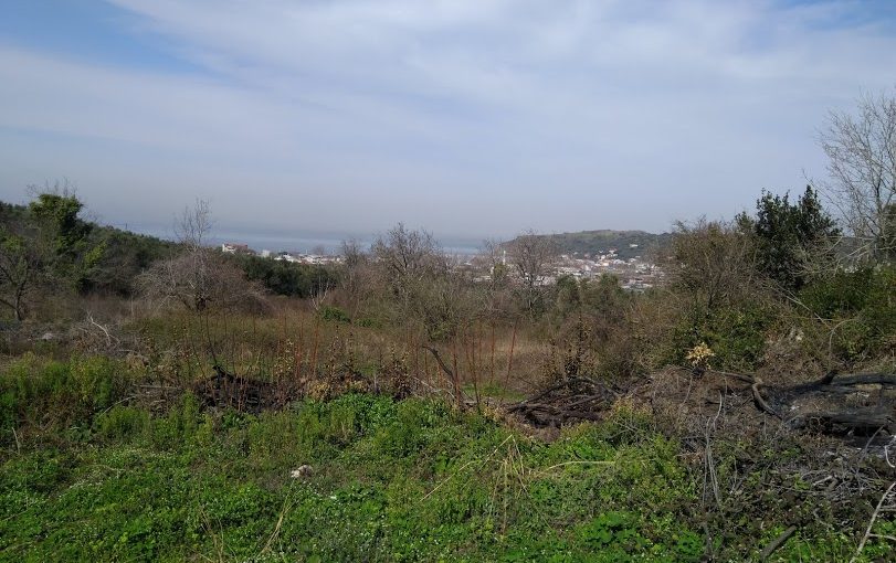 Mudanya Eşkel Esence Deniz Manzaralı Zeytinlik