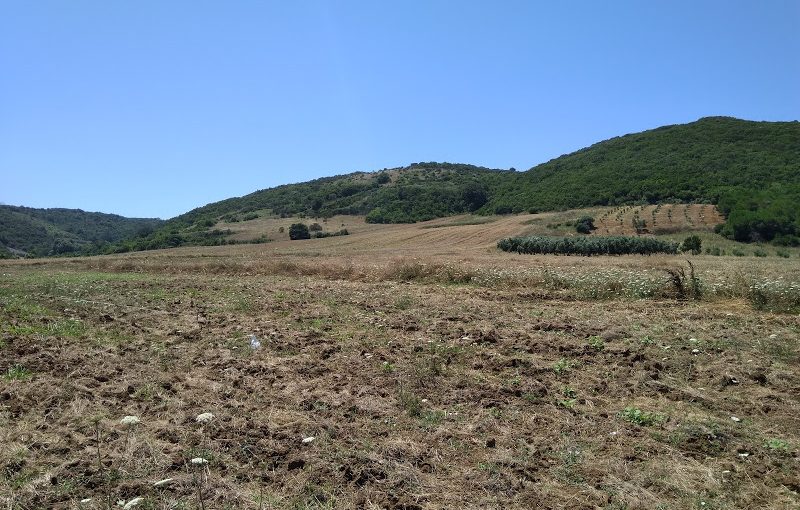 Denize Asfalta Yakın Bursa Satılık Arsa