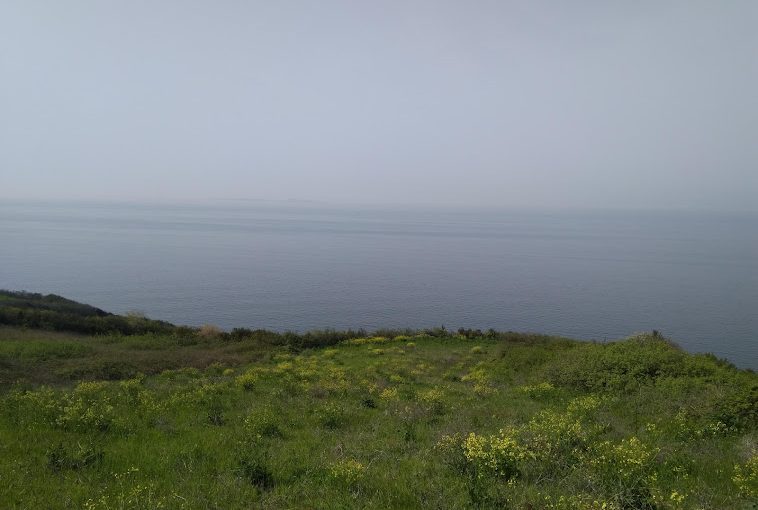 Bursa Mudanya Eşkel Deniz Manzaralı Satılık Tarla