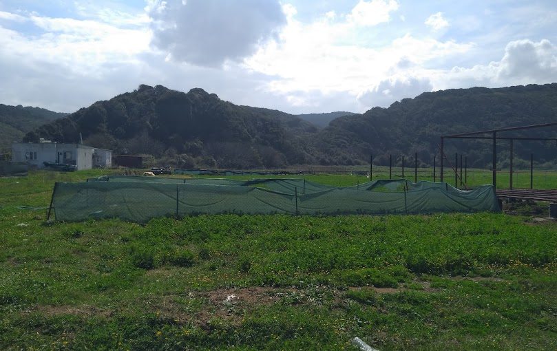 Eşkel Eğerce Satılık Arsa Deniz Kenarı Arazi Fırsatını Kaçırma